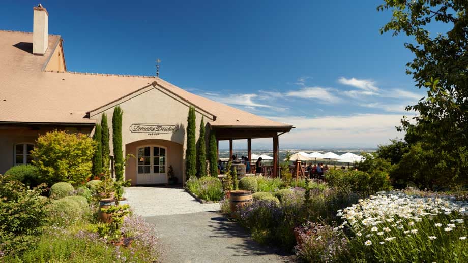 ワインと料理を愉しむ会 ドメーヌ・ドルーアン オレゴン